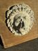 Off-white plaster lion head relief on natural wood panel — Walter De Buck, classical decorative sculpture
