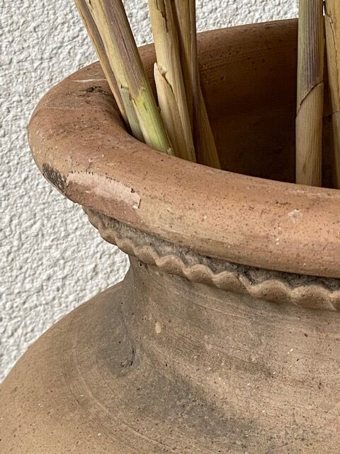 Terracotta pot