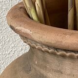 Terracotta pot