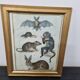 Gravure ancienne animalière