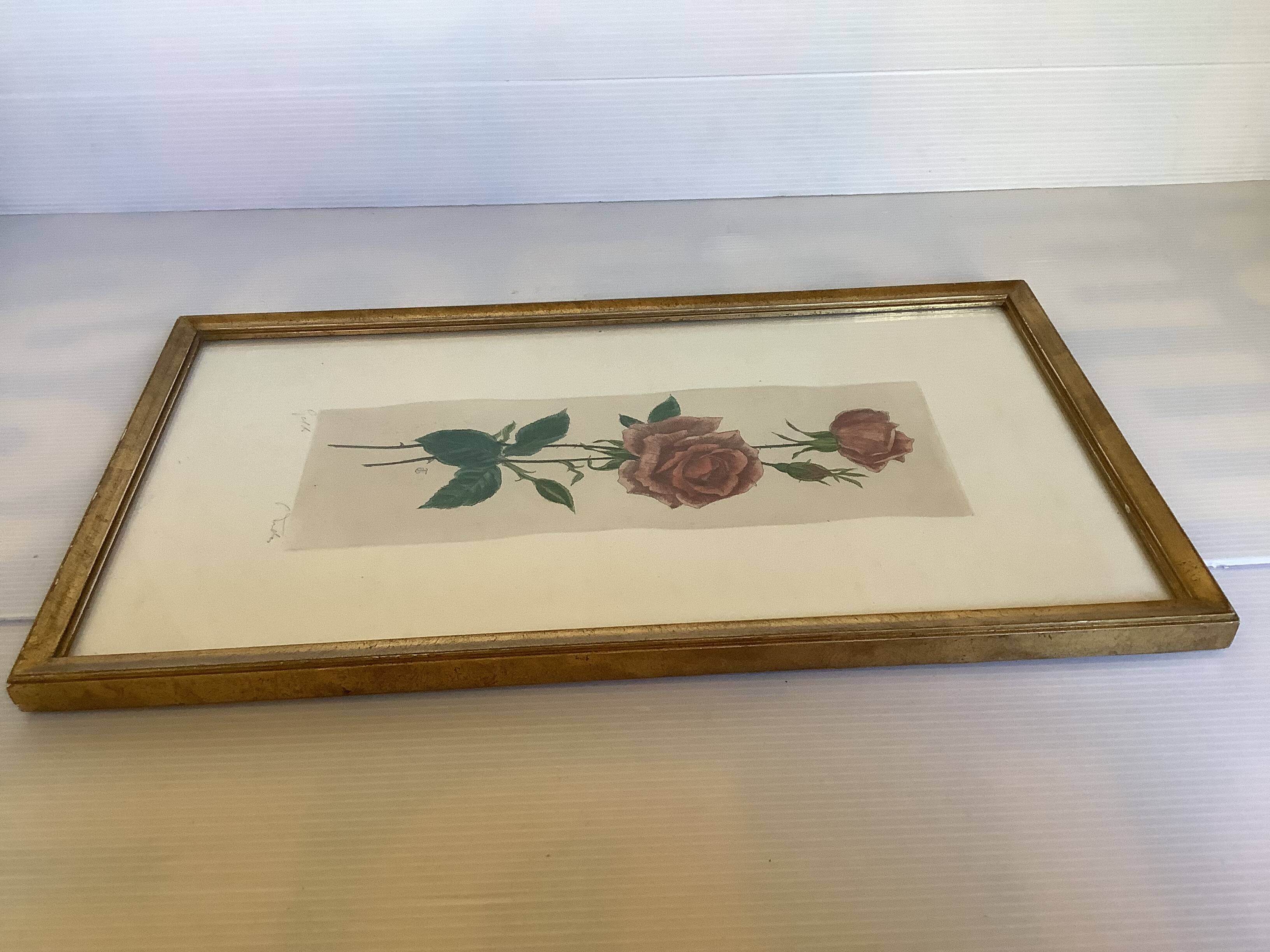 Pink rose flowers frame