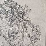 Louis John Endres (1896-1989) - Charcoal drawing on paper - Landscape Tizi N'Test Grand Atlas Morocco