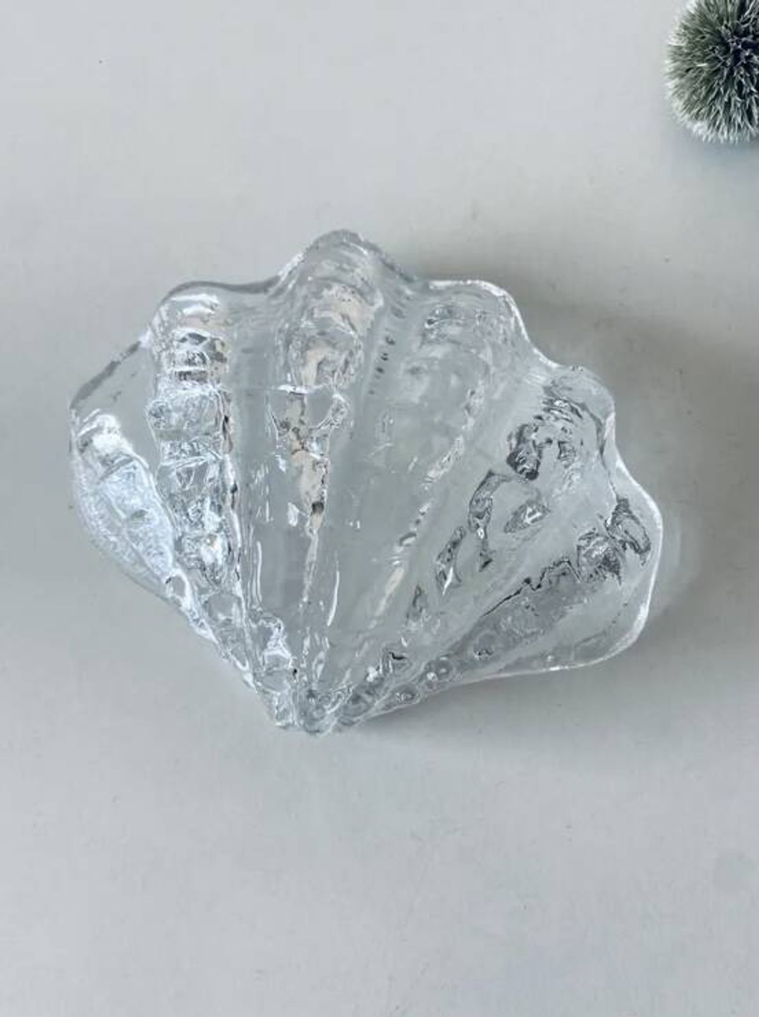 Coquillage bénitier en verre