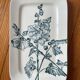 Rectangular dish