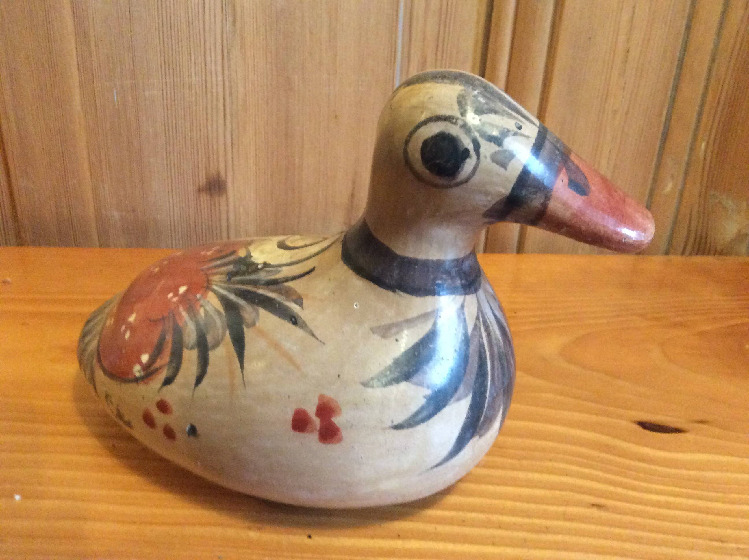 Mexico Duck