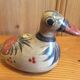 Mexico Duck