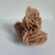 Rose des sables et coquillages marins