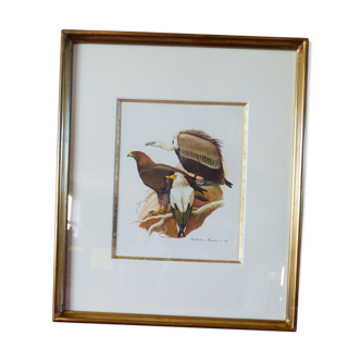 Oiseaux collection Hepatior n°48