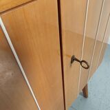 Scandinavian vintage wood and glass enfilade , 50s/60s