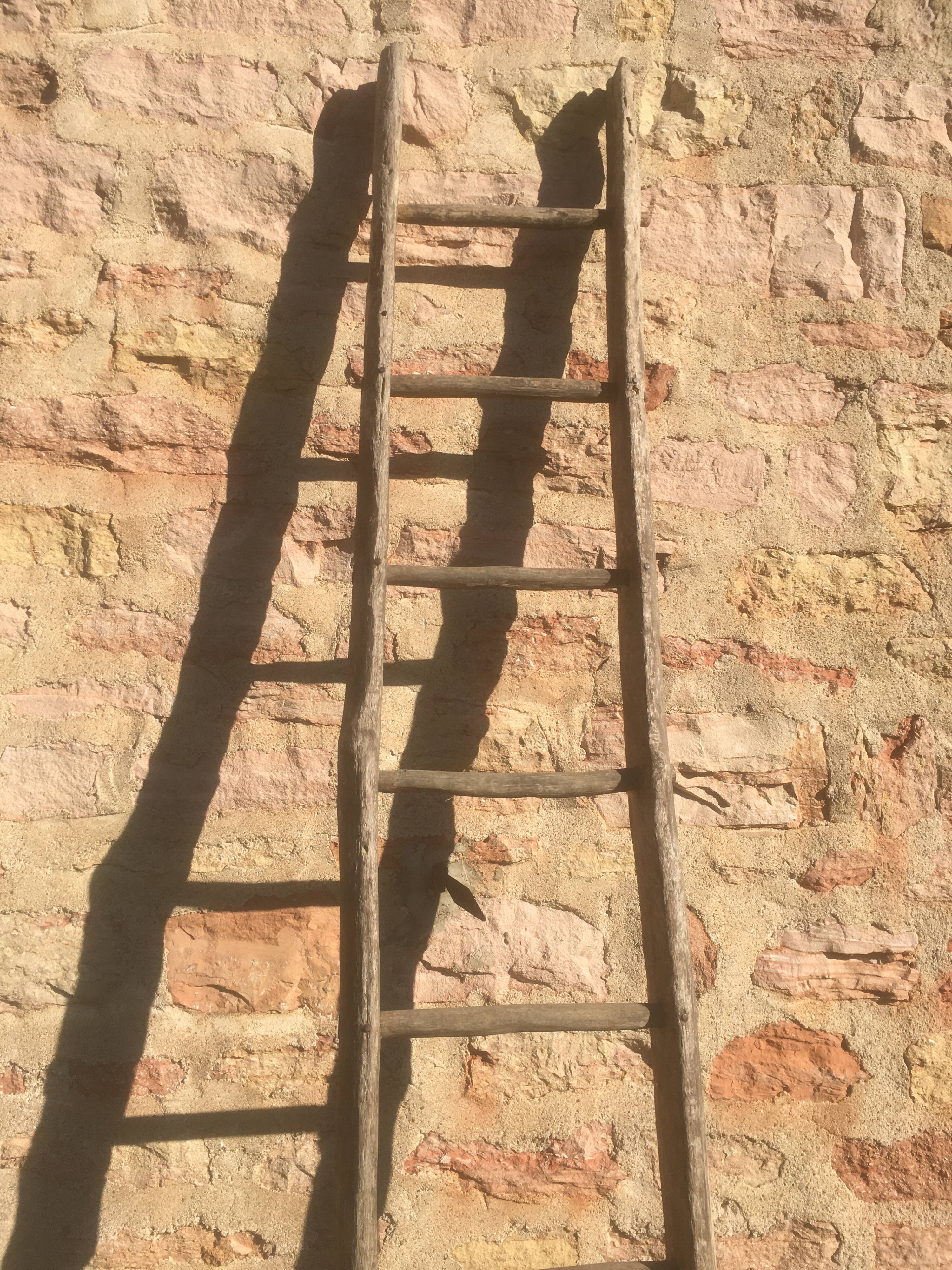 Acacia farm ladder 3/40s