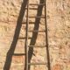 Acacia farm ladder 3/40s