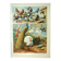 Old lithograph 1921. Dessertenne - Farmyard animals 2 - engraving