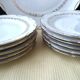 Berry porcelain cake service M&S with Limoges paste