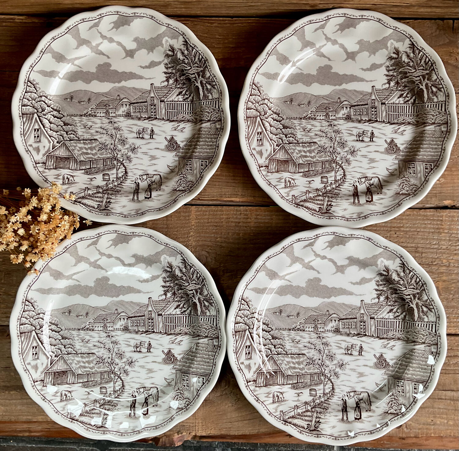 5 plates N Fontabesso Italy