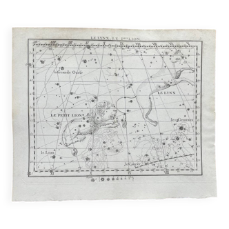 Le Lynx et le Petit Lyon - Planche d’astrologie 1795
