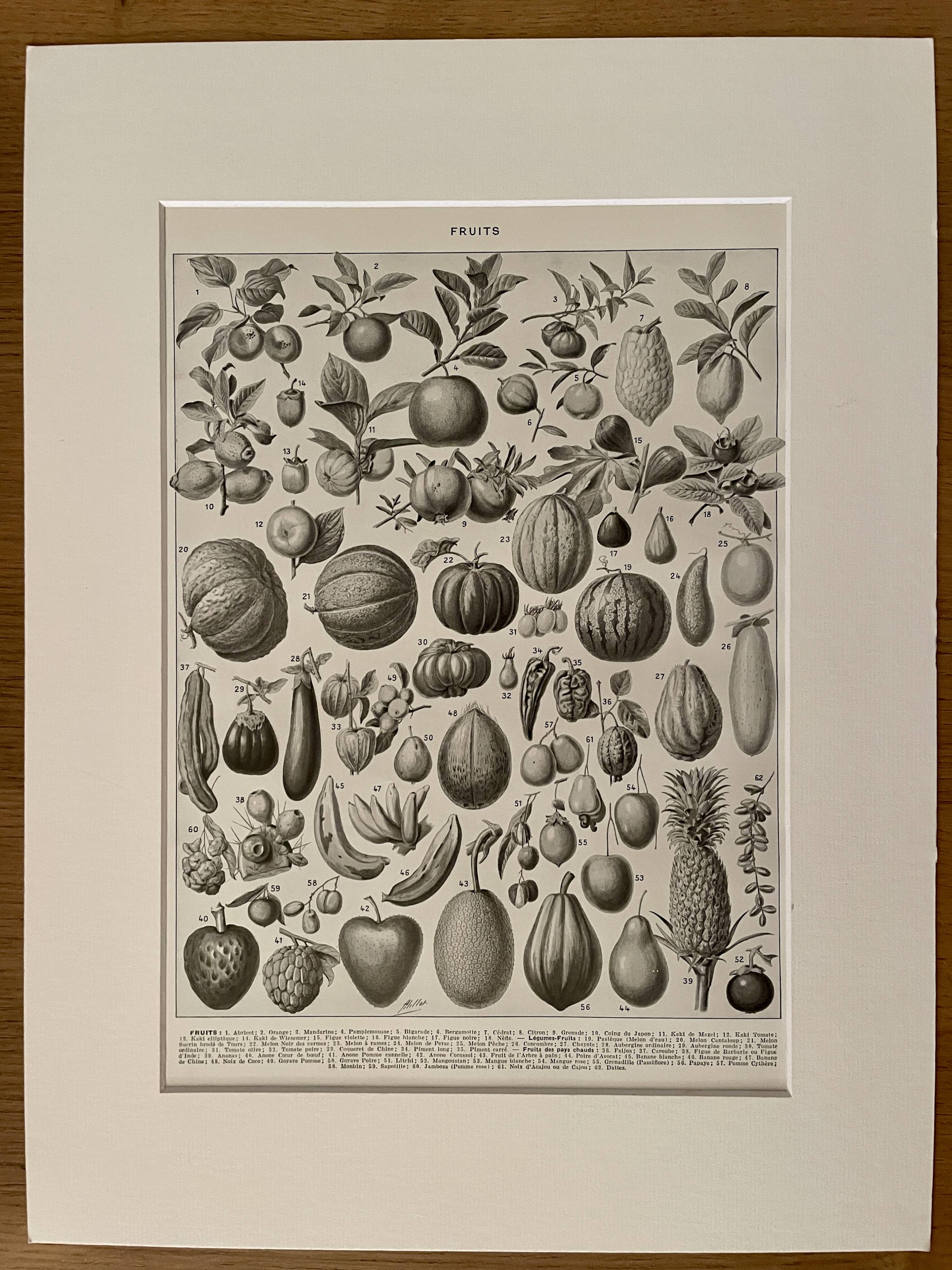 Lithograph on fruits - 1930