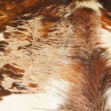 Cowhide rug 1970