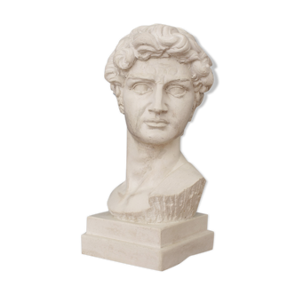 David head in waxed white concrete
