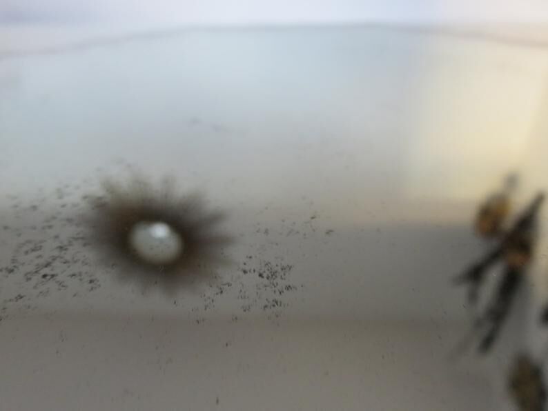 Octagonal mirror bevelled art deco 40 50 21x21cm