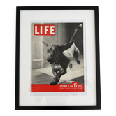 Life magazine framed cover 40s 60s design eames era dachshund sausage dog