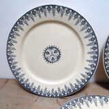 Seven plates of Sarregemines