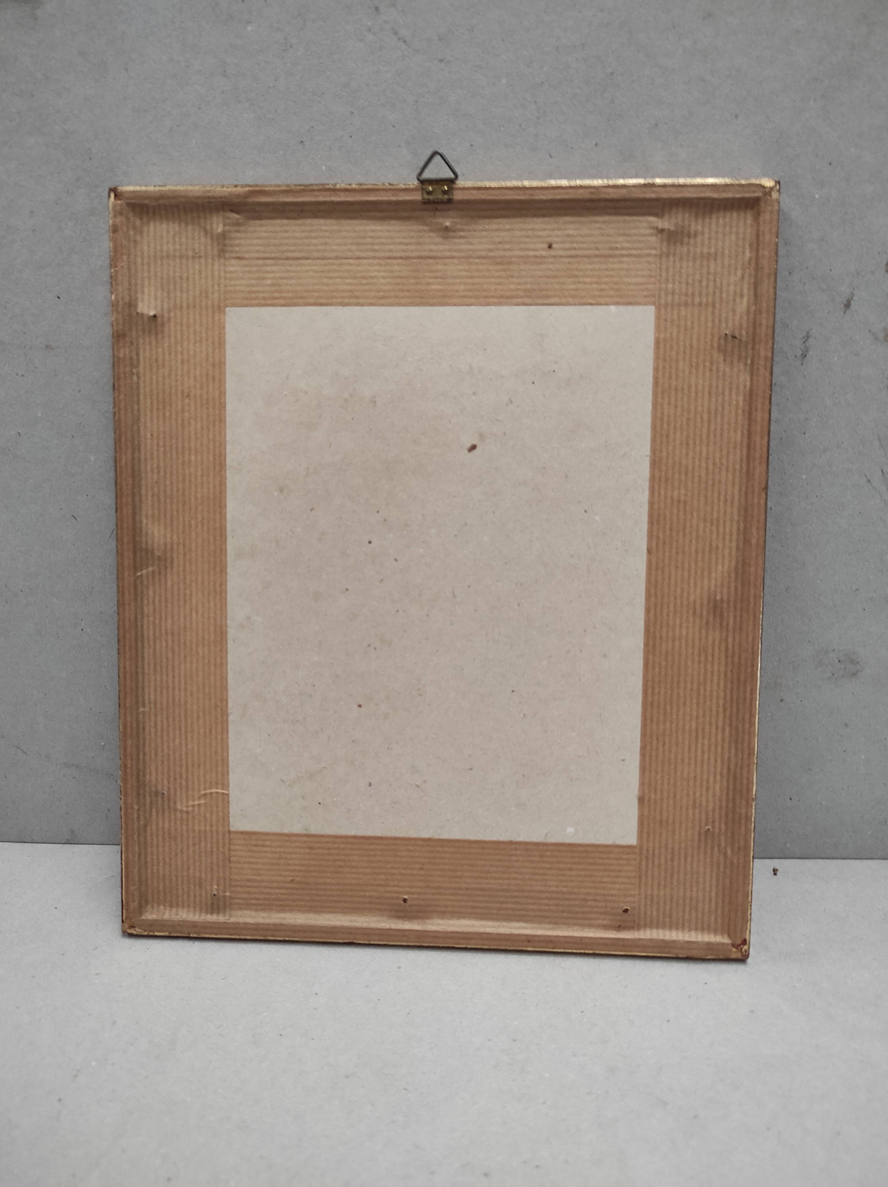 Lithography illustration bird Sitta Caesia vintage engraving golden frame