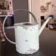 Zinc watering can