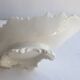 Large old ravier cut in white porcelain