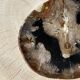 Large empty pocket or dish in petrified wood