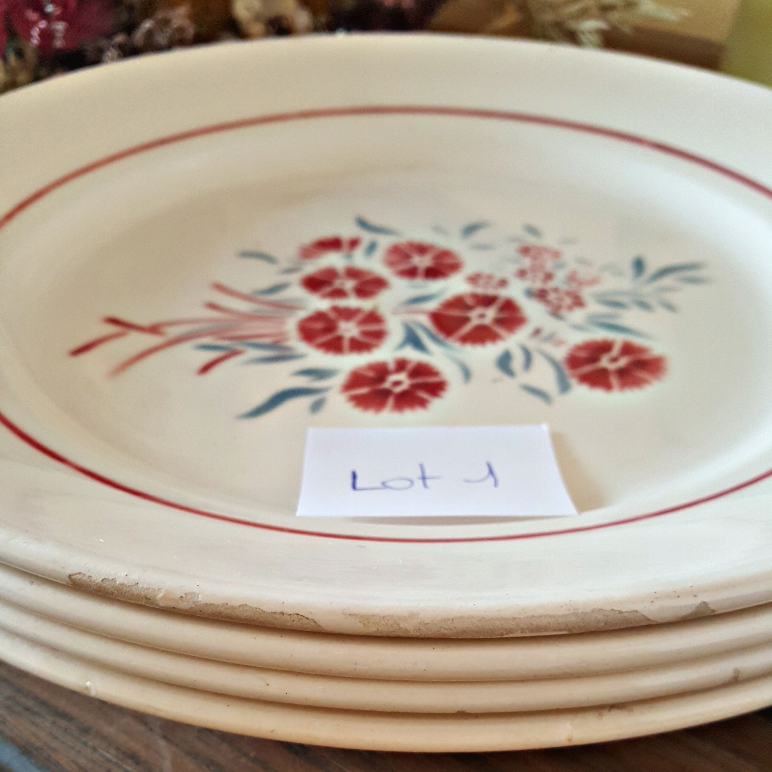 Flat porcelain plates Badonviller model Francine