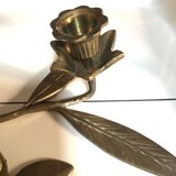 Brass candlesticks
