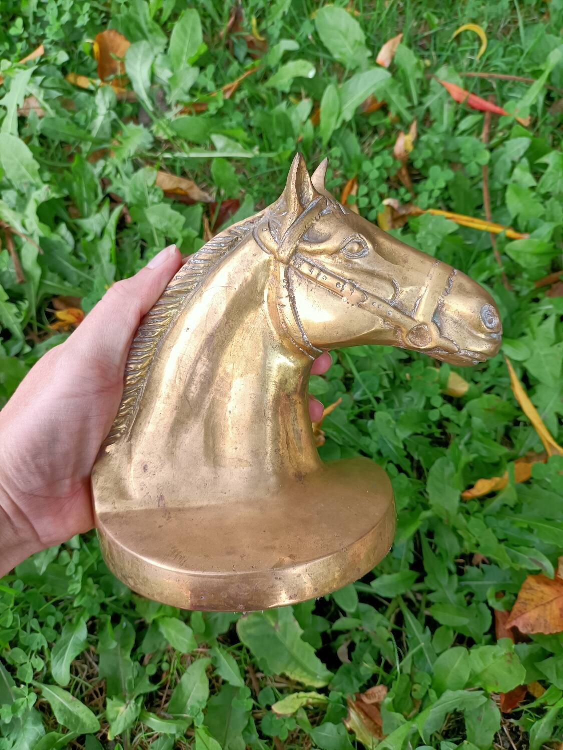 Serres Livres Laiton Cheval Vintage