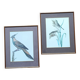 Set of 2 old bird frames, vintage ornithological paintings