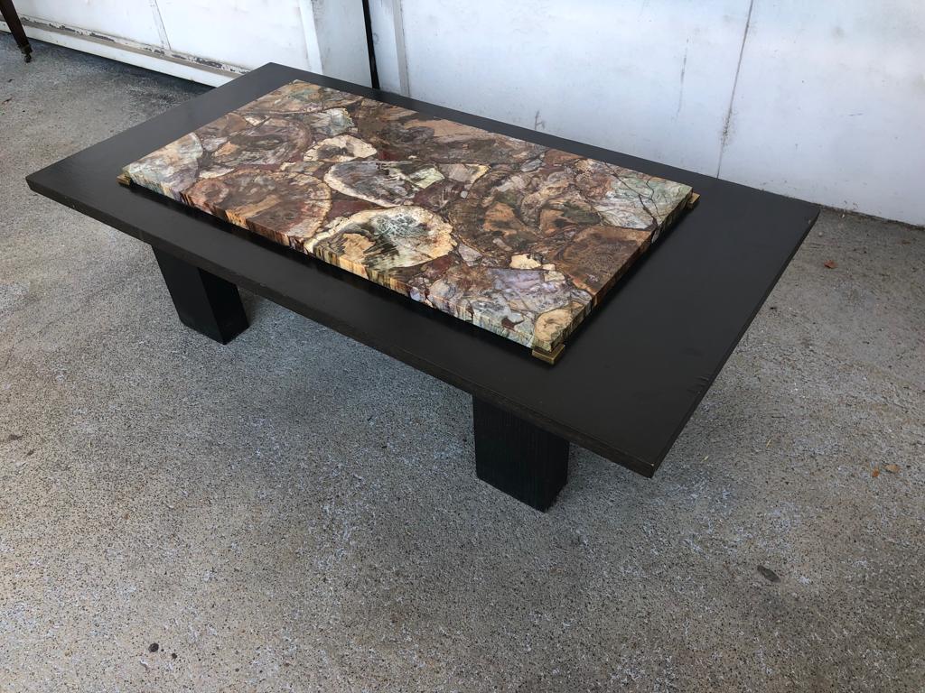 Coffee table with petrified wood top