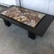 Coffee table with petrified wood top