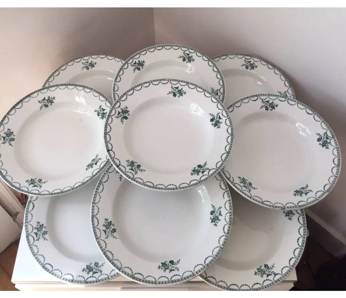 Ensemble de 9 assiettes Terre de fer fleurs vertes St Amand
