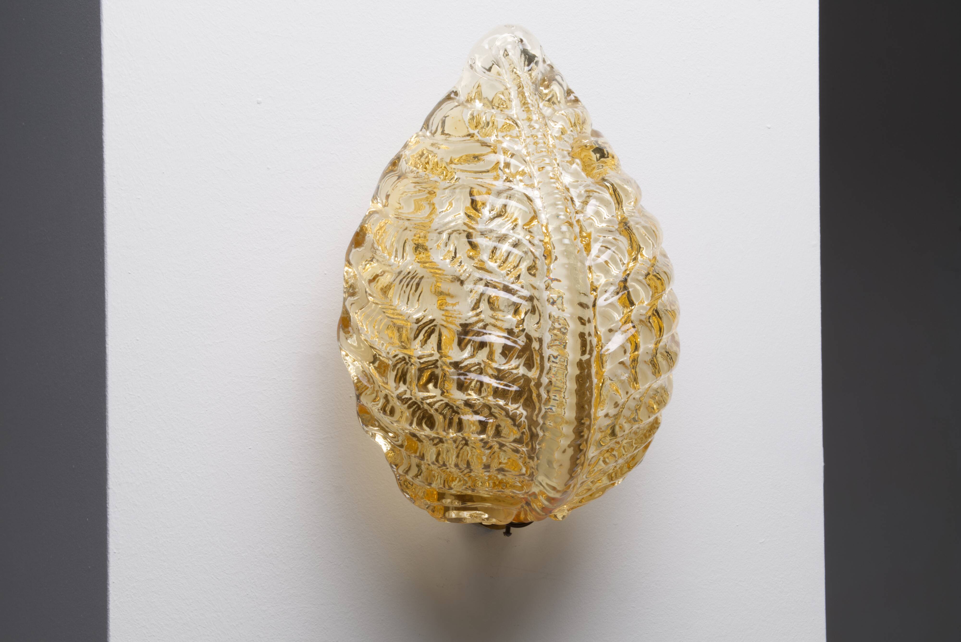 Carl Fagerlund seashell wall lamp