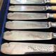 Fish cutlery service