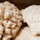 Corals and shellfish