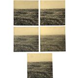 Gerry Hunt (1927 - 2023), set of 5 photographs mounted on wooden panels, United Kingdom 1977
