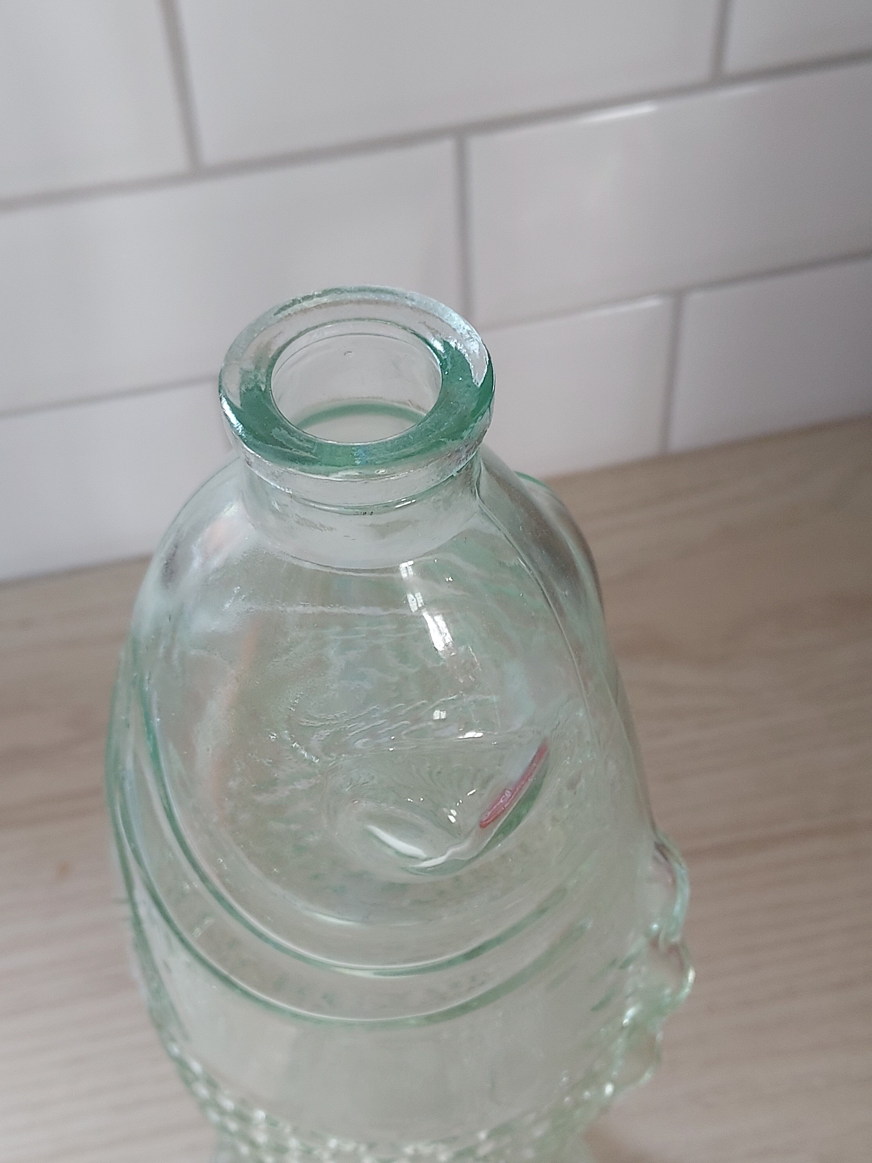 Transparent fish soliflore