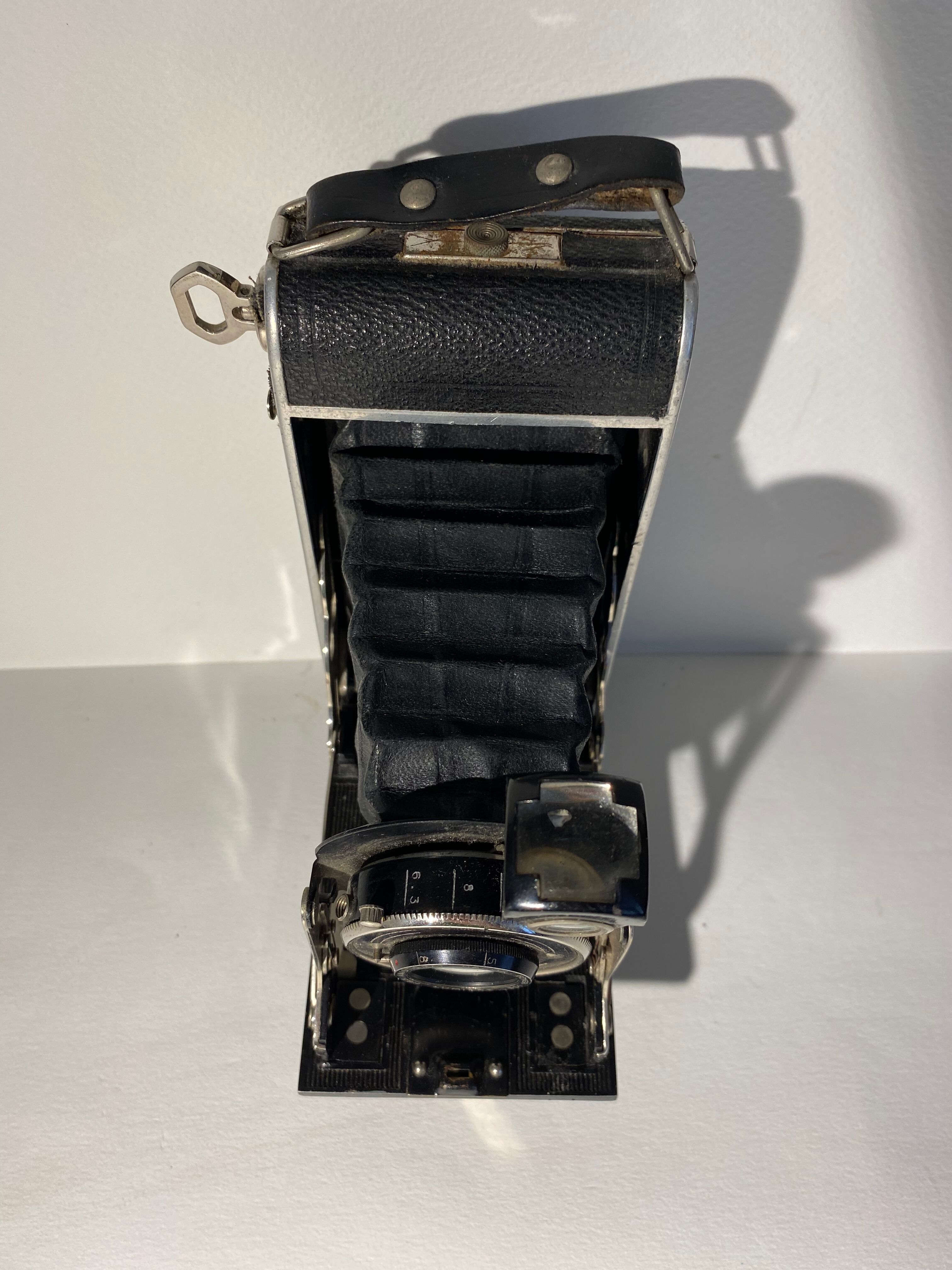 Light XX century brand bellows camera