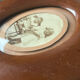 Art nouveau mahogany wooden frame measurements 27.5 cm x 20 cm  convex glass