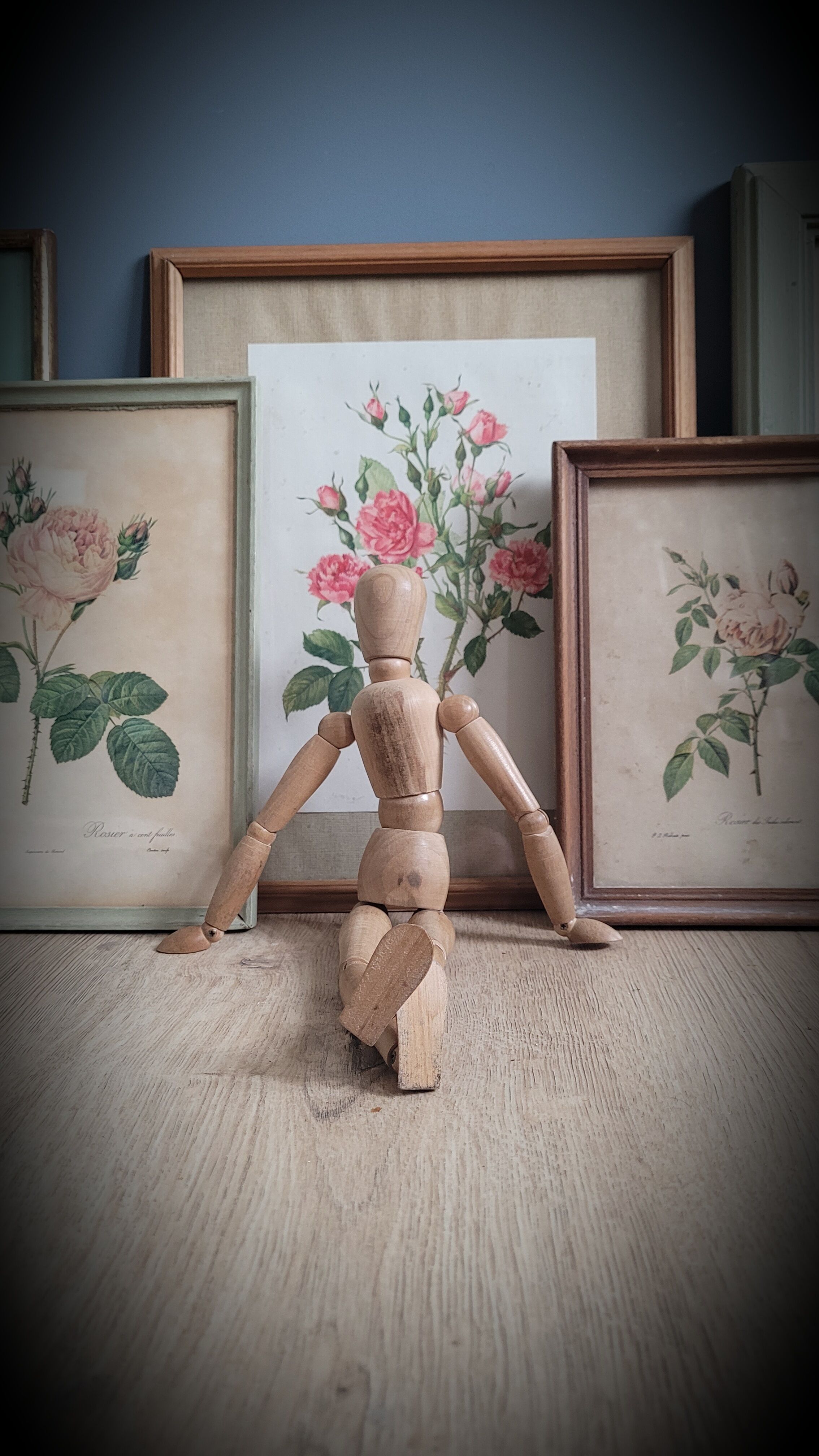 Litho Rose Eglantier