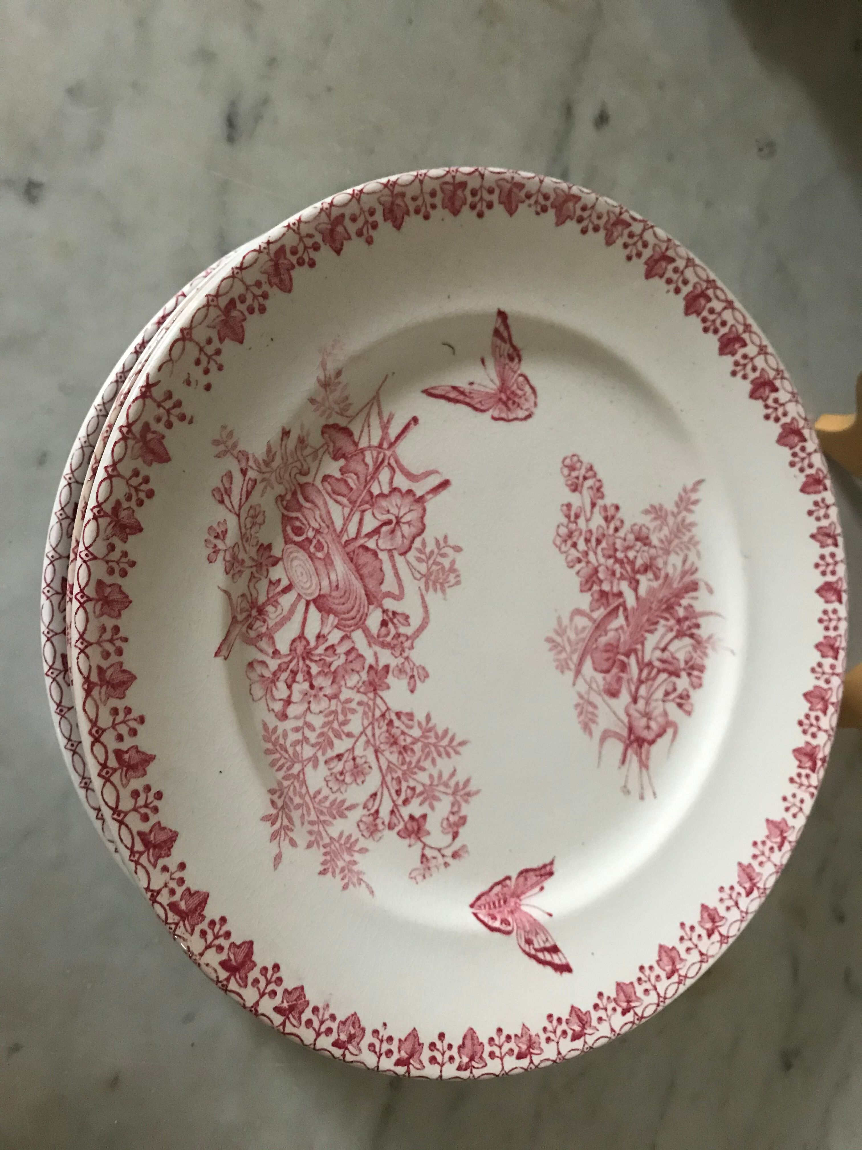 Lot of 9 plates iron earth circa 1900