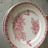 Lot of 9 plates iron earth circa 1900