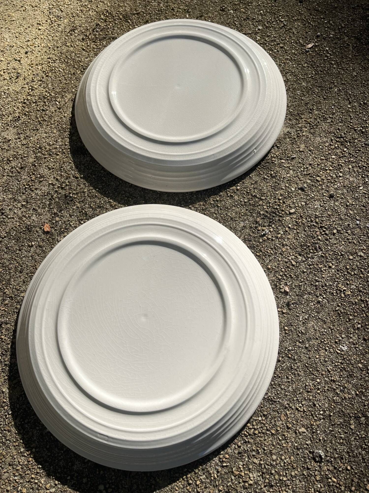 2 large vintage plates 24 cm flower pattern manufacture May
