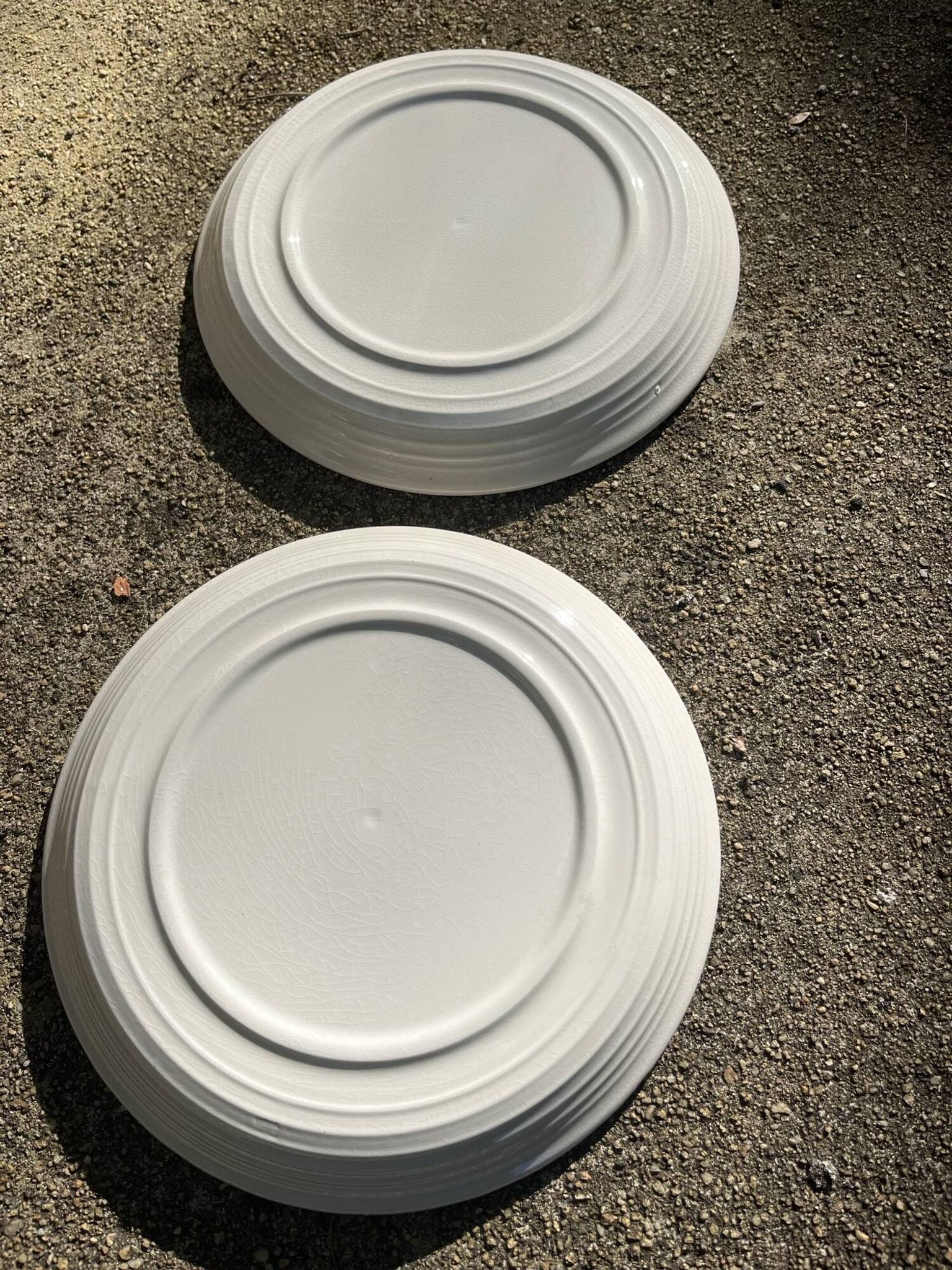 2 large vintage plates 24 cm flower pattern manufacture May