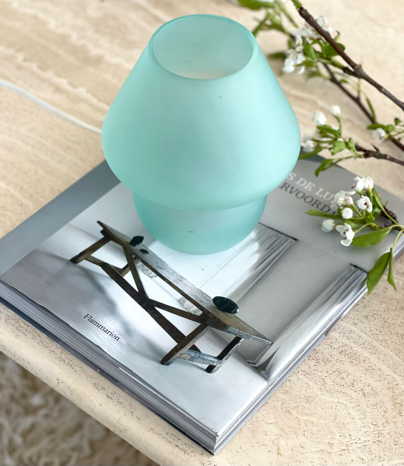 Frosted glass mushroom lamp