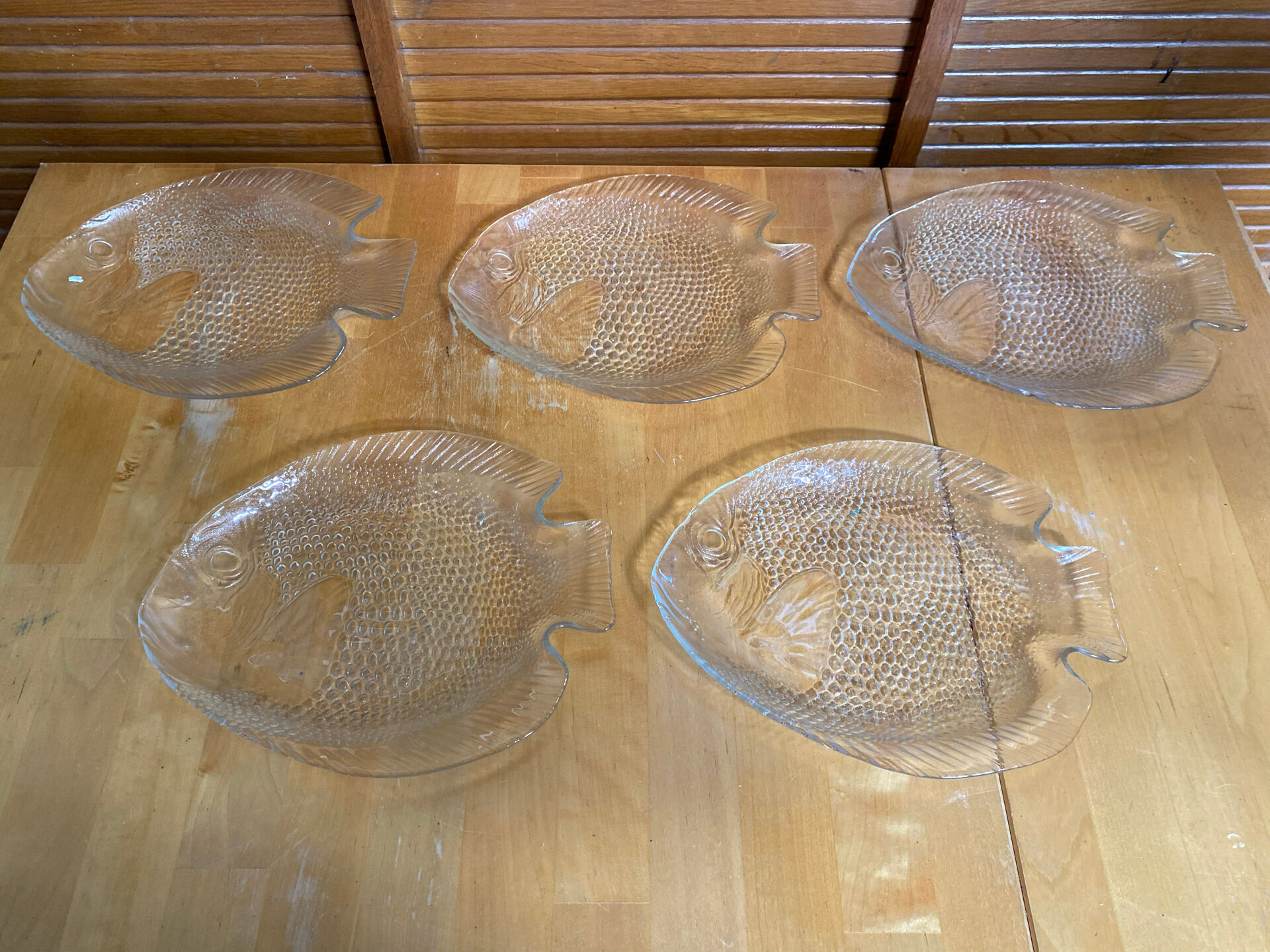 Plate + 5 ARCOROC Fish Shape Glass Mould Plates + Vintage Box #